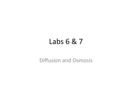 Labs 6 & 7 - Diffusion and Osmosis