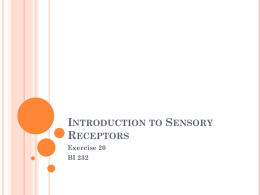 Introduction to Sensory Receptors