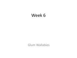 Class Notes, Week 6