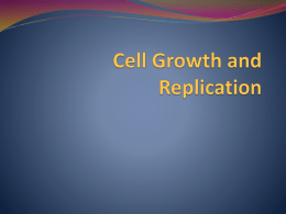 Cell Cycle PPT `14