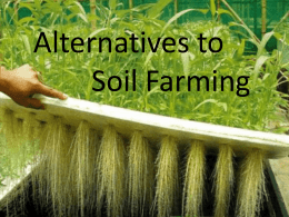 soilless farming - Science at NESS