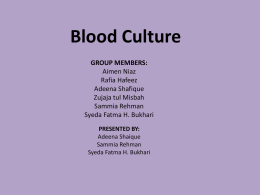 what is blood culture