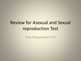 Review for Asexual and Sexual reproduction Test
