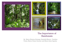 The Importance of Rainforests - i