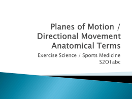 Planes of Motion / Directional Movement Anatomical Terms