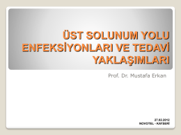 PowerPoint Sunusu - Prof Dr. Mustafa Erkan