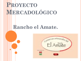 Proyecto Mercadológico - DiagnosticoMercados-2206-2012-2