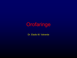 Orofaringe procesos inflamatorios 2013