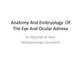 Embryology And Anatomy Of The Eye And Ocular