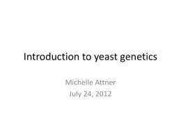 Introduction to yeast genetics
