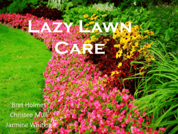 Lazy Lawn Care - Jazmine Whiting