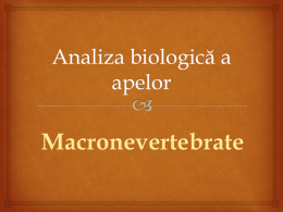 Macronevertebrate - ECOLOGIA LA SIBIU