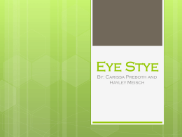 Eye Stye - andoverhighanatomy