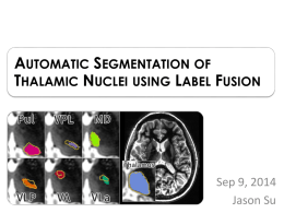 Automatic Segmentation of Thalamic Nuclei using Label Fusion