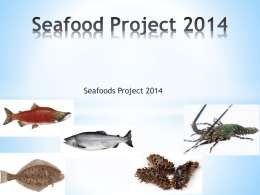 Eversea Seafoods 2014