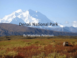 Denali National Park