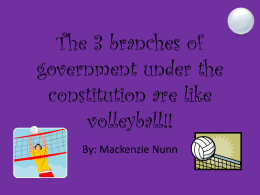 The 3 branches of government under the constitution