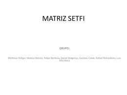 MATRIZ SETFI - Blog Site Professor Márcio Bambirra