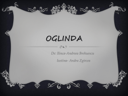 Oglinda - SCIENCE LAND ATL