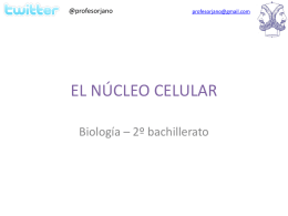 nucleolo
