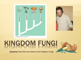 Kingdom Fungi - Central Biology