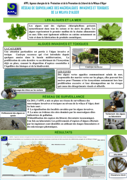 poster macro-algues juin 2013_fr[PowerPoint]