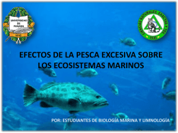 pesca comercial - Azuero Earth Project