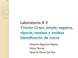 Laboratorio # 3 Tinción Gram, simple, negativa, cápsula, catalasa y
