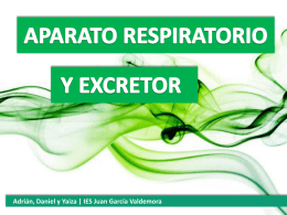 Respiración y excreción - IES Juan García Valdemora