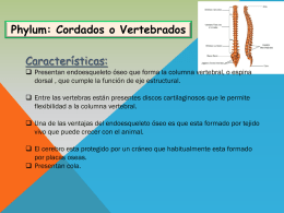 Phylum peces,anfibios,reptiles y aves