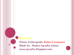 Biologi Filum Arthropoda-.Kelas Crustacea Made by : Raden