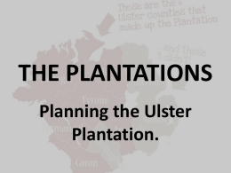 THE PLANTATIONS - Miss O`Connor`s Class