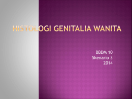 bbdm Histologi Genitalia Wanita