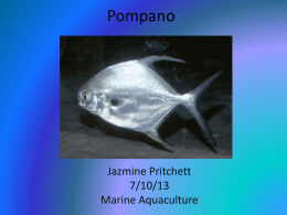 Pompano- Jazmine Pritchett