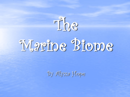 The Marine Biome - schuffertbiology