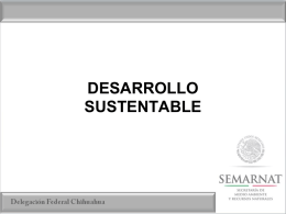 Desarrollo Sustentable - Municipio de Cuauhtemoc
