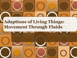 Adaptions of Living Things: Movement Through Fluids