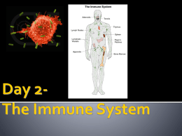 The Immune System day Day 2