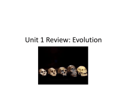 Unit 1 Review: Evolution