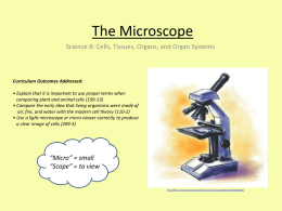 How to use a Microscope