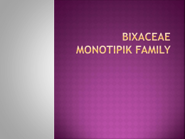 BIXACEAE===>>MONOTIPIK FAMILY