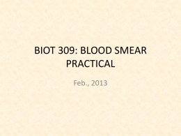 BIOT 309: BLOOD SMEAR PRACTICAL