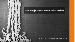 UP5 Kesejahteraan Hewan Lab