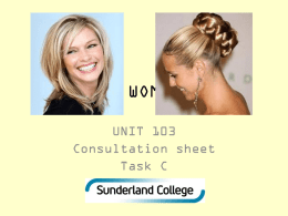 103 TASK c consultation sheet