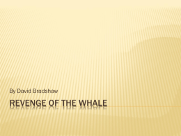 Revenge of the Whale powerpoint - David