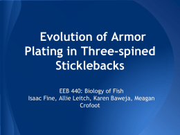 Evolution of Armor Plating in Three-spined Sticklebacks