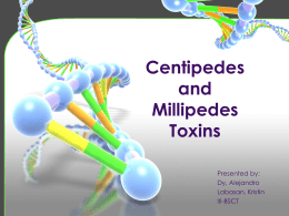 Centipedes and Millipedes Toxins