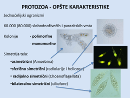 01 protozoa