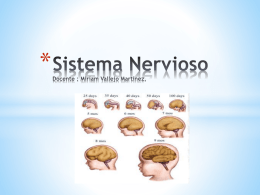 El Sistema Nervioso Periférico