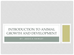 Introduction to Animal Growth and Development